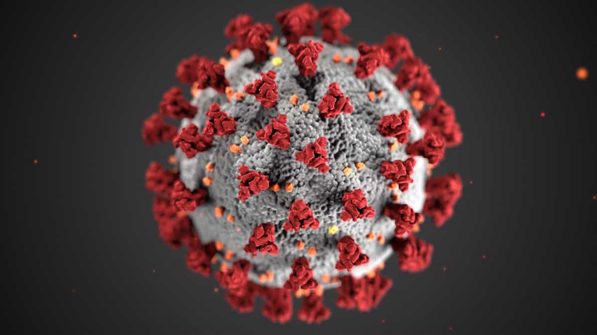 Coronavirus führt zu Betriebsschließungen