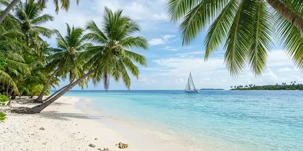 Meer mit Palmen und Segelboot
