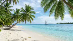 Meer mit Palmen und Segelboot
