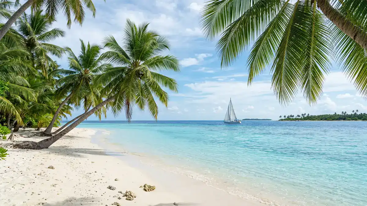 Meer mit Palmen und Segelboot